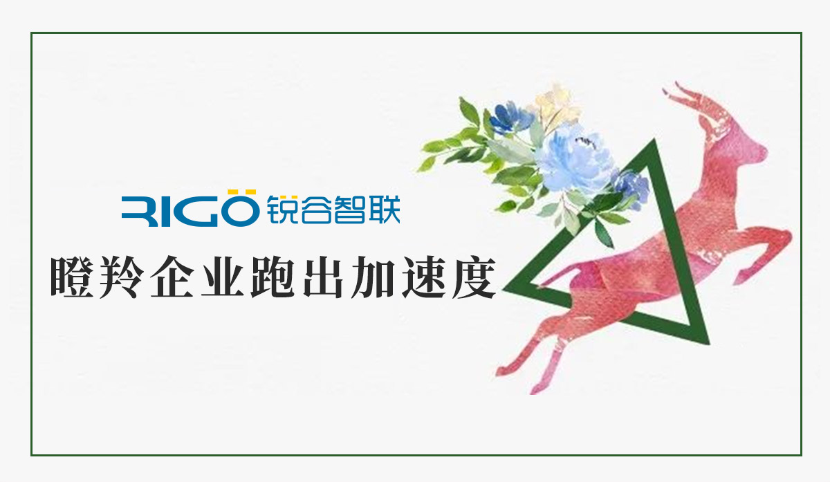 火炬高新區(qū)助力“瞪羚”企業(yè)跑出加速度，超半數(shù)分布廈門軟件園